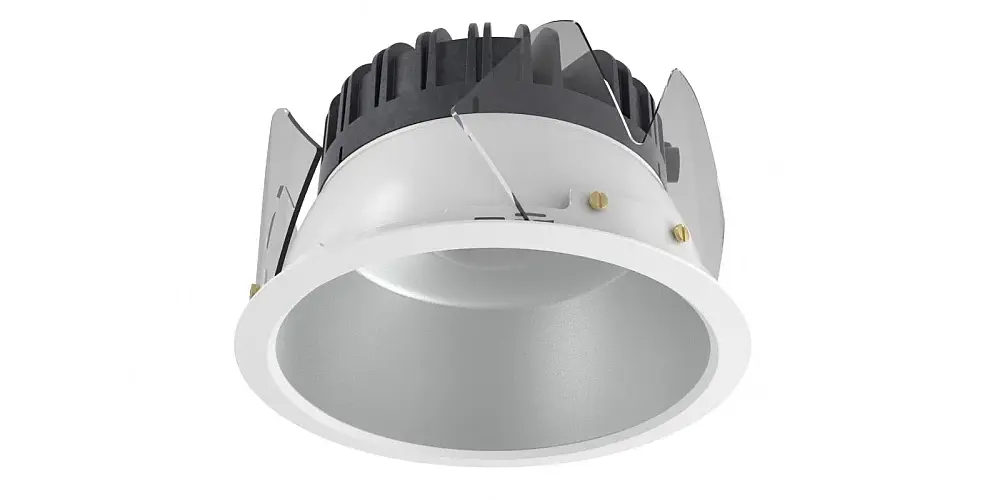 Alba mri 1000x750